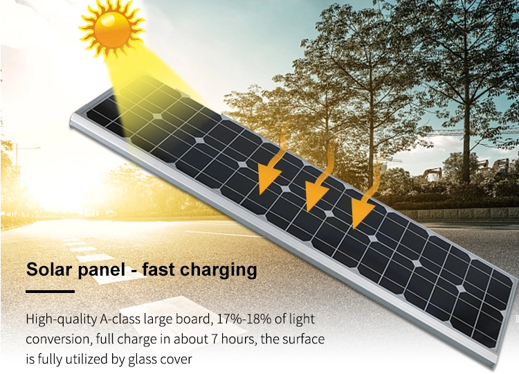 Integrated Solar Street Light